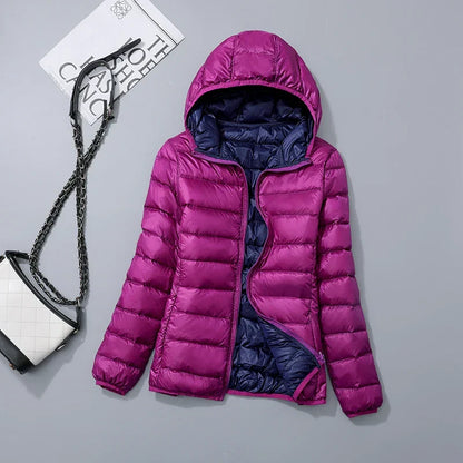 Violett und Dunkelblau