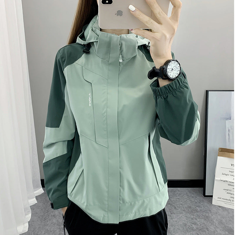 Mint