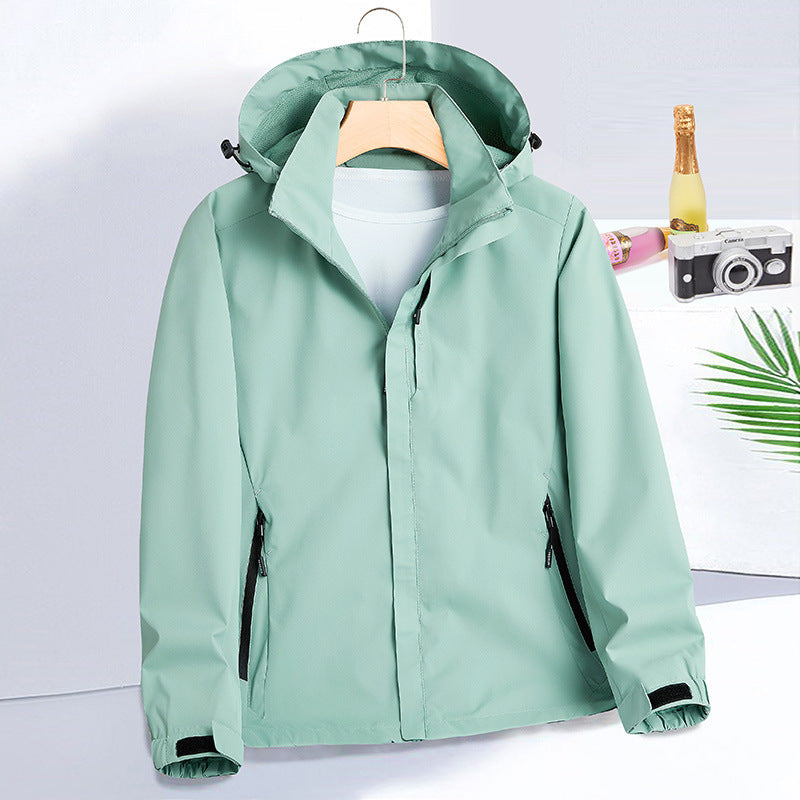 Mint