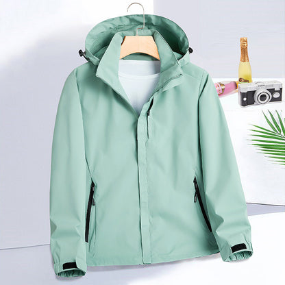 Mint