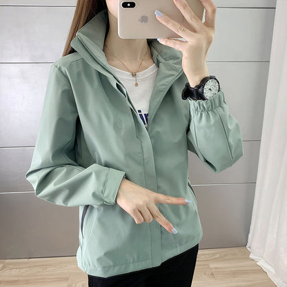 Mint