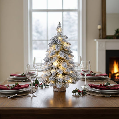 Mini Christmas Tree with Frosted Snow Effect and LED Lights
